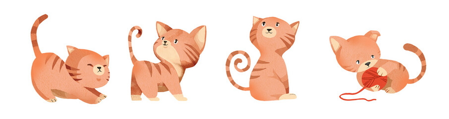 Pets, life, communication, animals, feeding, owners, fun, play, adopt, care, care, love, love, love, good breed, care, care, friendship, meekness, joy, breed, hound, leisure, leisure, love, care, joy,