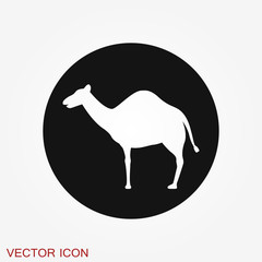 Camel icon. Vector symbol African animal for web and design.