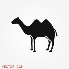 Camel icon. Vector symbol African animal for web and design.