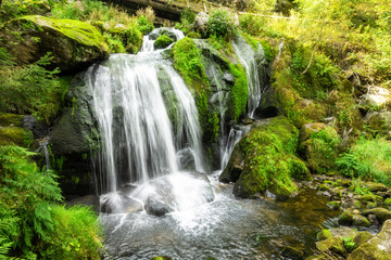 Fototapeta na wymiar waterfall at Triberg in the black forest area Germany