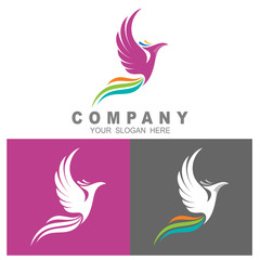 phoenix logo template, eagle logo vector,  tail icon with colorful, eagle logo with colorful