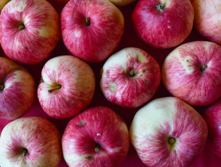 bright fragrant apples close-up