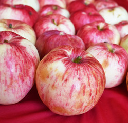 bright fragrant apples close-up