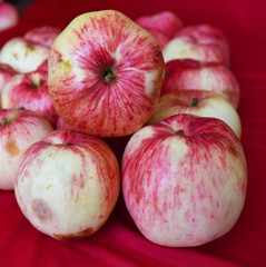 bright fragrant apples close-up