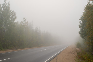 Fototapeta premium Very thick fog. The road disappearing into the fog. The concept of danger on the road