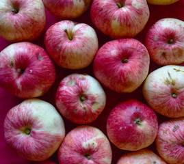 bright fragrant apples close-up