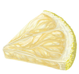 Vector isolated pattern object, hand-drawn harvest juicy, delicious rich wet yellow lemon piece, with highlights, beautiful peel of lemon. Realistic, like paint. Ripe, juicy, tasty lemon as ingredient