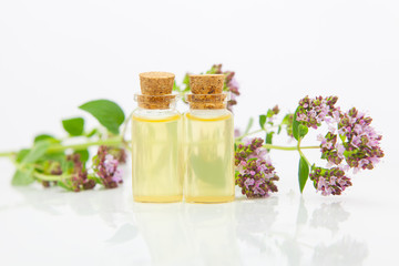 Essence of Oregano flowers on table in beautiful glass Bottle