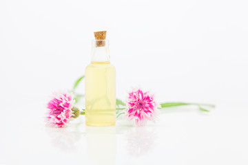 Obraz na płótnie Canvas Essence of lavender flowers on White background in beautiful glass Bottle