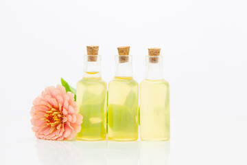 Obraz na płótnie Canvas Zinnia essential oil in beautiful bottle on White background