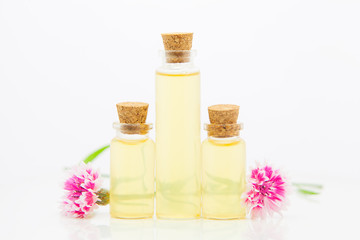Essence of lavender flowers on White background in beautiful glass Bottle