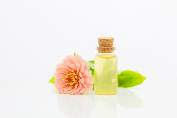 Zinnia essential oil in  beautiful bottle on White background