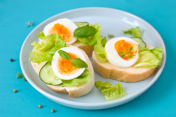 Butterbrote mit gekochtem Ei und Salat
