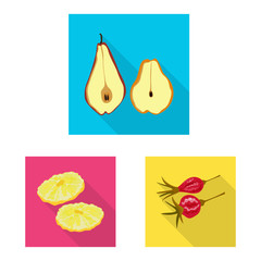 Isolated object of fruit and dried icon. Set of fruit and food stock vector illustration.