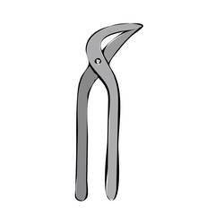 vector, on a white background, construction tool pliers