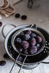 purple plums in gray colander on gray background