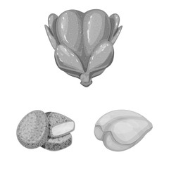 Vector design of cuisine and bird sign. Collection of cuisine and poultry vector icon for stock.