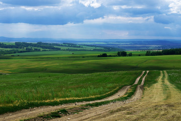 field dirt road goes into the distance through agricultural fields with green grass past the forest, the blue sky large dark clouds, landscape