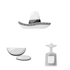 Vector illustration of fajita and fiesta logo. Set of fajita and celebration stock vector illustration.