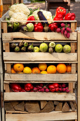 Assortment of fresh vegetables. Fresh organic raw vegetable food. Natural agriculture farm, healthy harvest. 