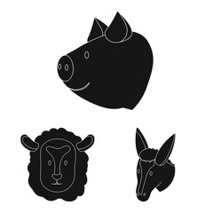 Vector design of ranch and organic icon. Set of ranch and head stock vector illustration.