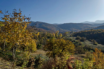 Amazing autumn view of glade, hill, forest with deciduous trees  near to pretty village Zhrebichko, Bratsigovo municipality,  Rhodope mountains, Bulgaria  
