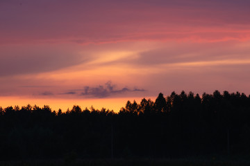 Fototapety na wymiar - Fototapeta24.pl