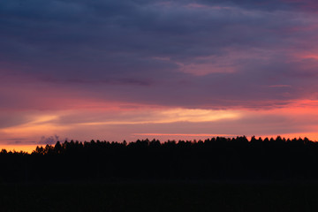 Fototapety na wymiar - Fototapeta24.pl