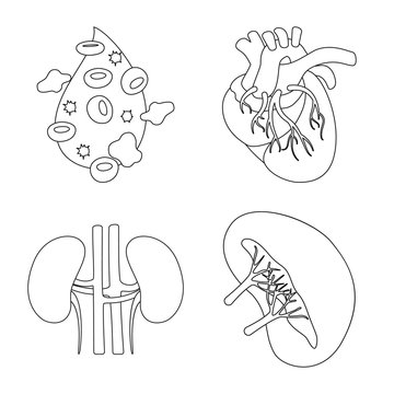 Vector design of anatomy and organ icon. Collection of anatomy and medical stock vector illustration.