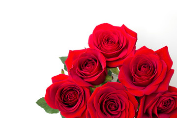 Red roses bouquet close up on white background