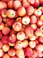 Apple, fruit, fresh, healthy, fruit stall,