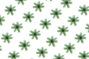 Creative Christmas pattern made of natural green fir tree branches as snowflakes on white background, isolated.