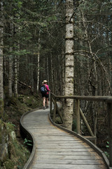 Fototapeta premium woman hiking in the national park d´aiguestortes in the Pyrenees in Spain