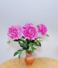 pink peonies in a vase on an old wooden table gray background