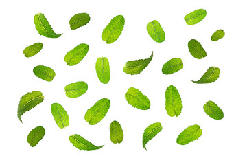 Fresh mint leaves pattern isolated on white background.