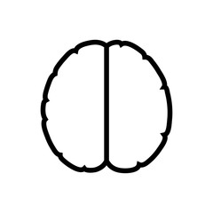 Vector illustration of human brain anatomy 