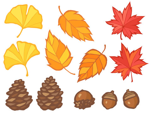 秋の紅葉とドングリ マツボックリのイラストセット イチョウ モミジ ケヤキ Stock Vector Adobe Stock