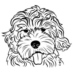 Portrait of a dog. Portrait of the breed golden doodle. Black white illustration of a fluffy dog. Print for clothes. Doodle. Tattoo.