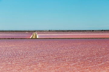The Salin-de-Giraud salt farm with pink purple salty sea water with algae, salt mining in Europe