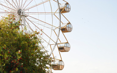 Ferris wheel