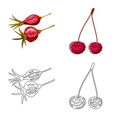 Vector illustration of food and raw icon. Set of food and nature stock vector illustration.