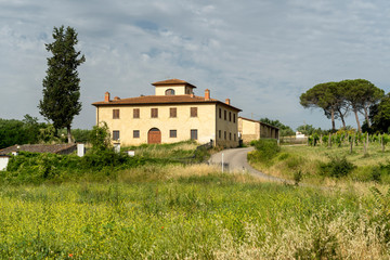 Summer landscape in the Chianti region at summer