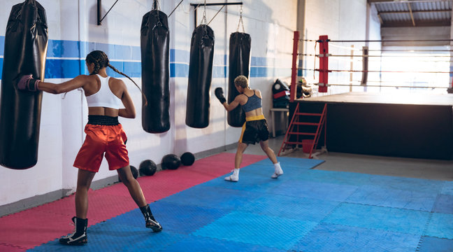 Female boxers practicing boxing in boxing club