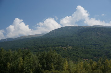 mountains covered with green forest