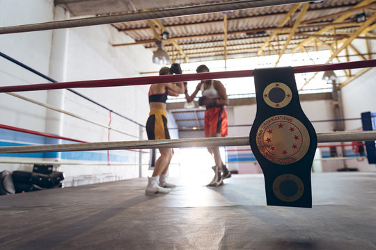 Female boxers fighting in boxing ring at fitness center