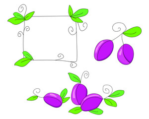 Ripe juicy blue plum, prunes-illustration in Doodle style. Simple flat berries and frame with green leaves isolated on white background