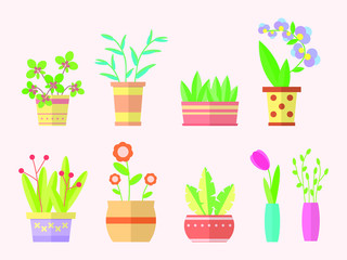 Home plants, flowers in vases and decorative flowers in pots. Garden flower pot for green interior of the house. Large set of flat colorful illustrations