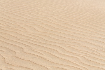 Sand Dune Desert Texture