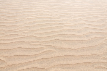 Fototapeta na wymiar Sand Dune Desert Texture
