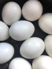 eggs on black background
